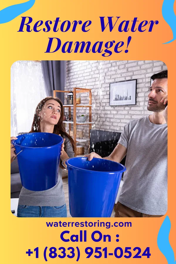 water restoration Advanced Water Damage Network Alexander