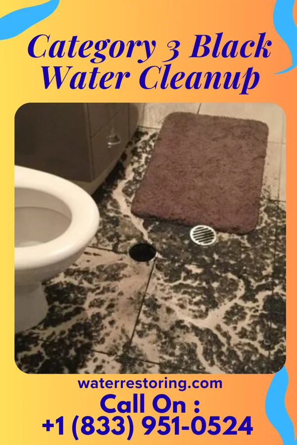 Category 3 Black Water Cleanup in Alexander, KS