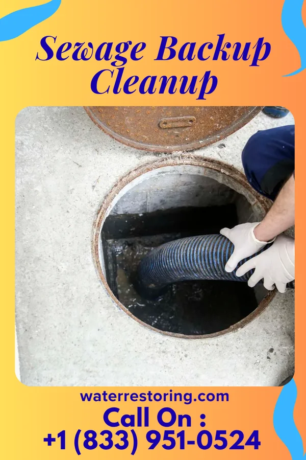 Sewage Backup Cleanup in Alexander, KS
