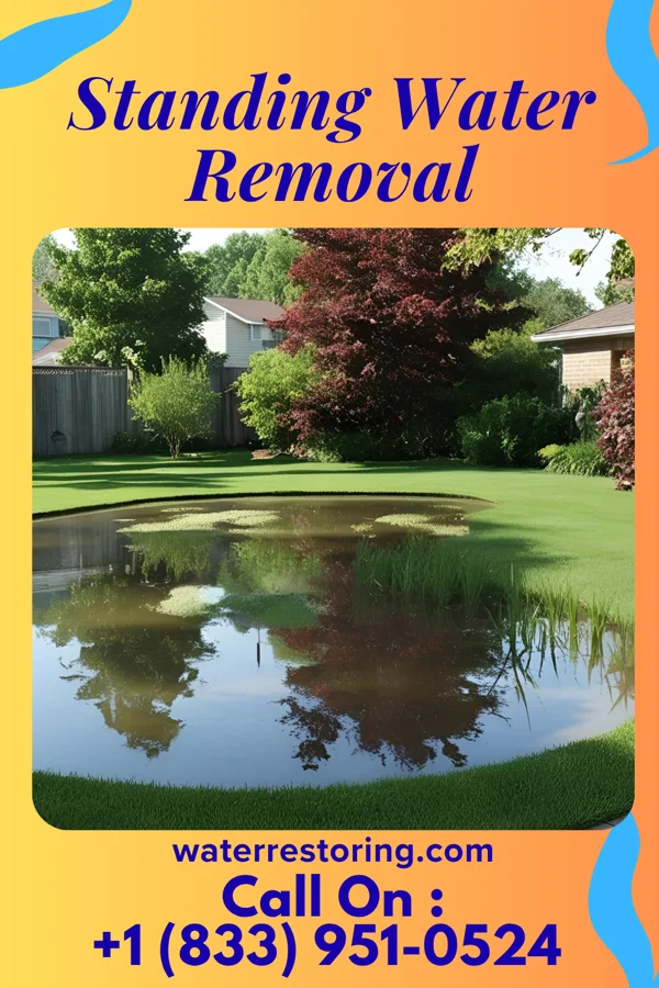 Standing Water Removal in Alexander, KS